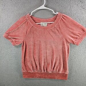 Saturday Sunday Anthropologie Pink Ribbed Velvet Puff Sleeve Top Small Blouse